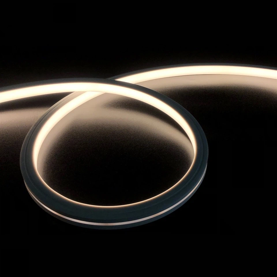 Neon Flex Light Strip