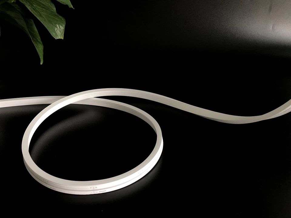 Outdoor LED Neon Flex